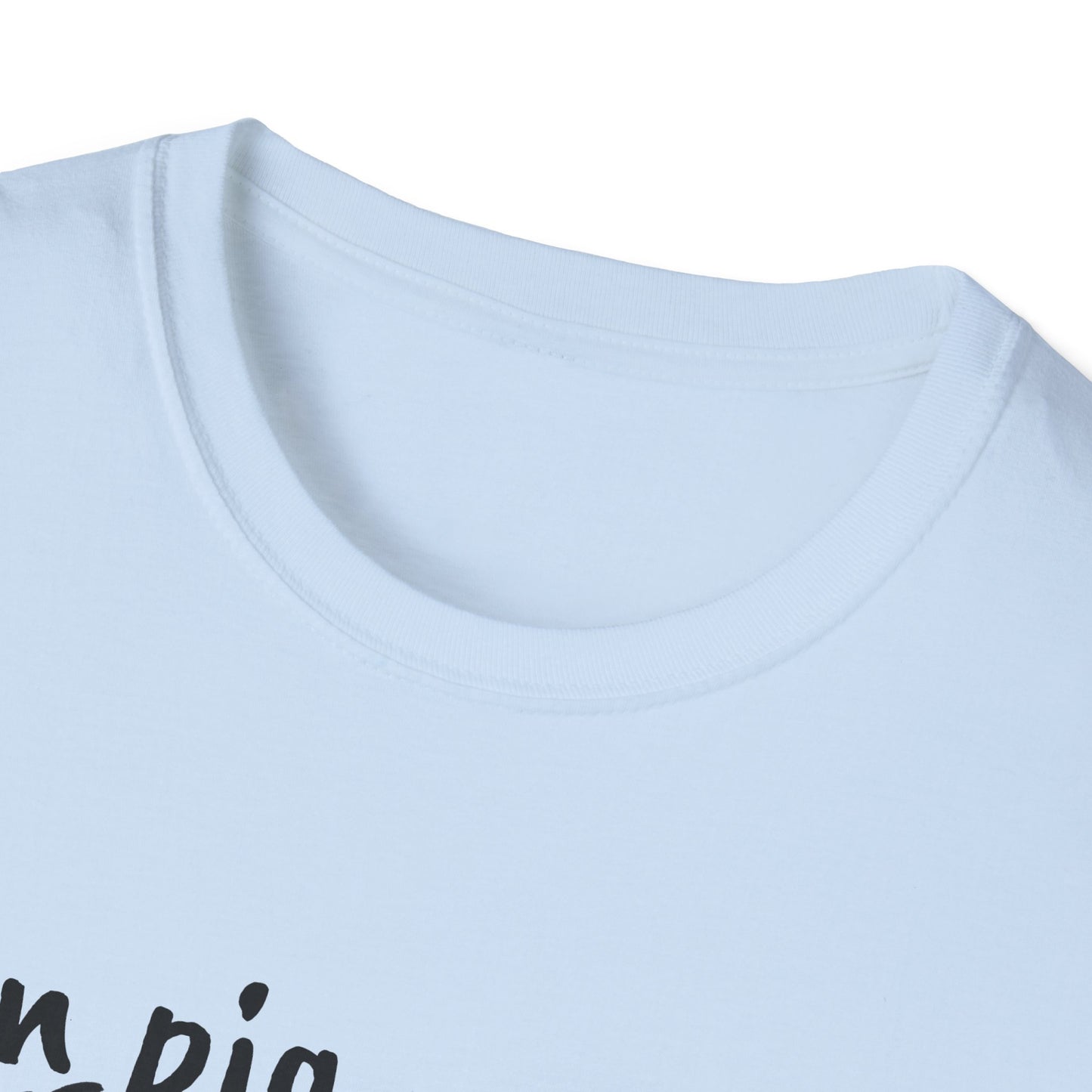 Zen Pig on Unisex Softstyle T-Shirt