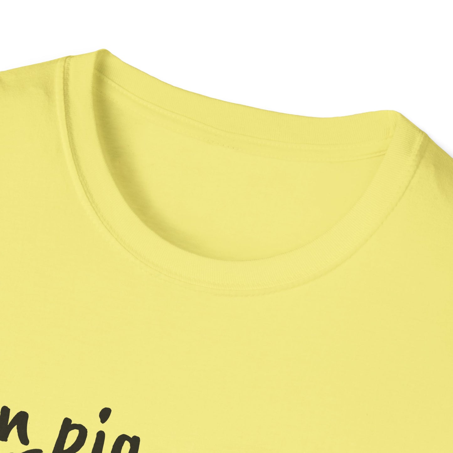 Zen Pig on Unisex Softstyle T-Shirt